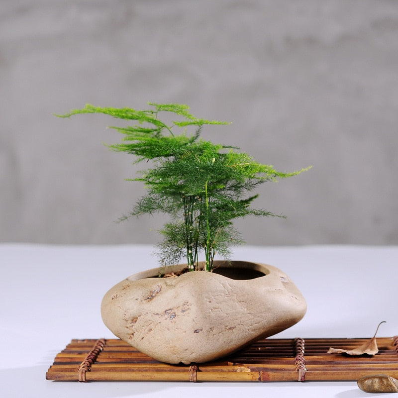 bonsai tree planter Bonsai Stone Planter