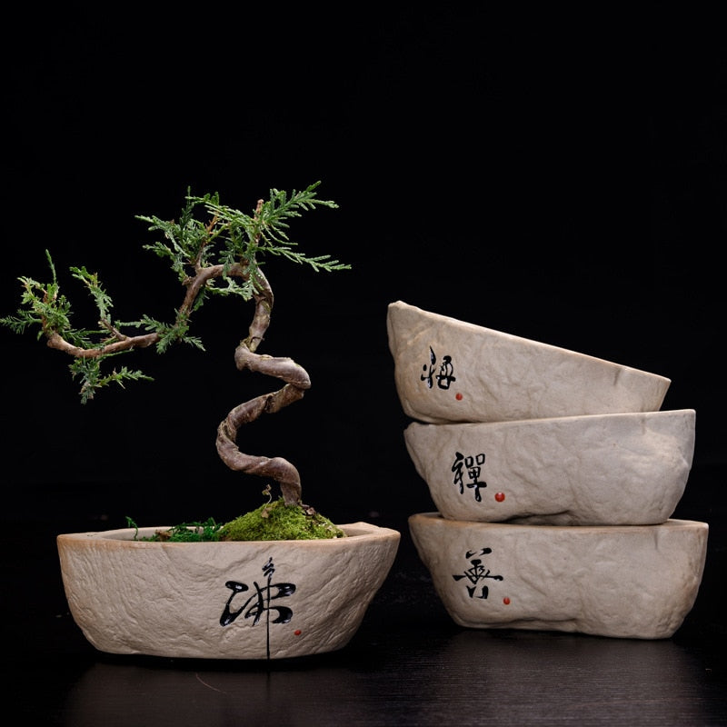 japanese succulent pots Bonsai Ceramic Pot