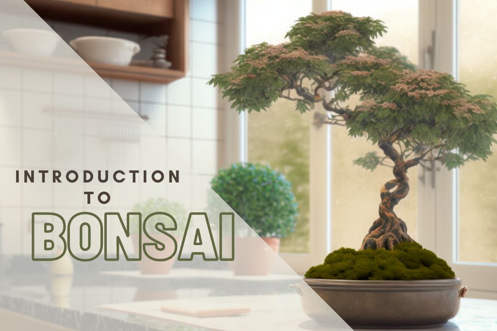 Einführung in die Pflege von Bonsai-Bäumen