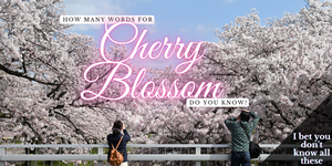 Japón ama tanto a Sakura que hay más de 70 palabras para las flores de cerezo