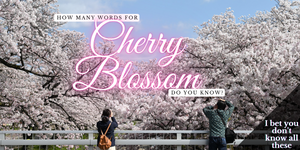 Japan Loves Sakura So Much There Are More Than 70 Words For Cherry Blossoms