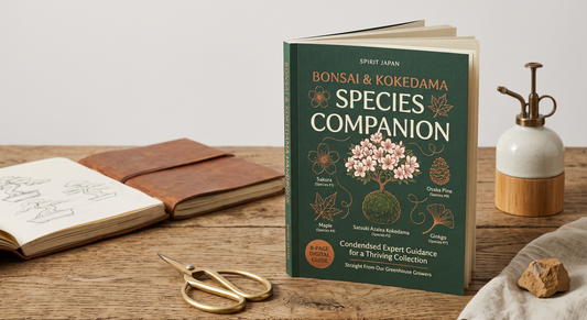 Complete Bonsai Species Companion Guide (Digital PDF)