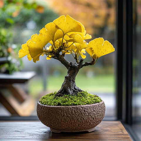 Grown Bonsai – Spirit of Japan Grown Bonsai – Spirit of Japan