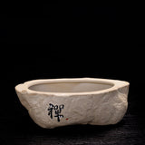 Bonsai Ceramic Pot