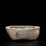 Bonsai Ceramic Pot