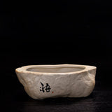 Bonsai Ceramic Pot