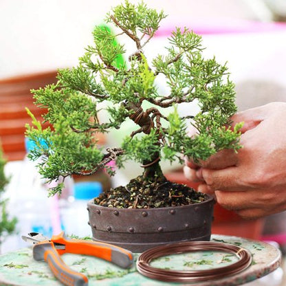 wiring juniper bonsai tree Black Bonsai Training Wire
