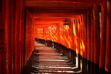 Japanese Temple Blessing