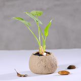 Bonsai Stone Planter