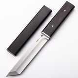Japanese Tanto Knife