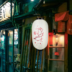 Hanging Japanese Paper Lantern (Chochin)