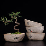 Bonsai-Keramiktopf