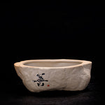 Bonsai Ceramic Pot