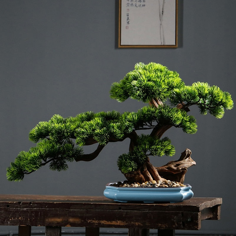 Low Profile Bonsai Pot | Spirit of Japan
