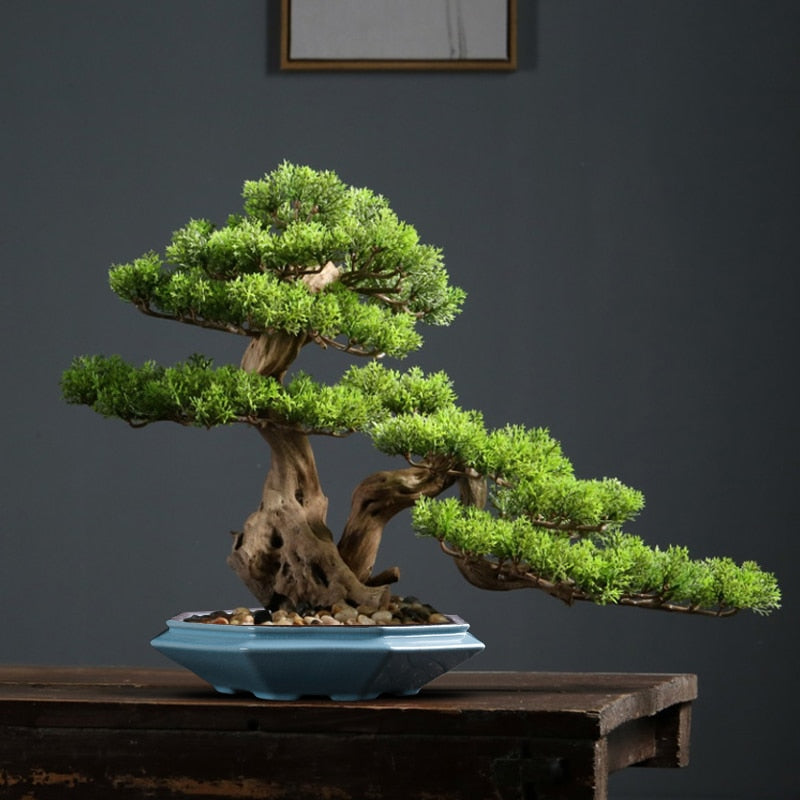 Low Profile Bonsai Pot | Spirit of Japan