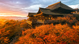 Bendición del templo japonés