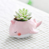 Kawaii Mini Animal Planter