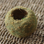 Maceta para bonsái con bola de musgo Kokedama